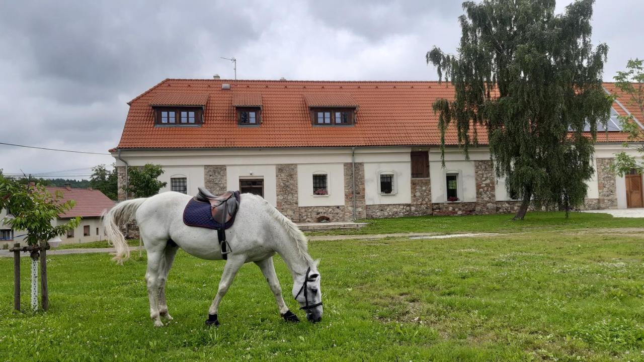 Korn-Hof Aparthotel Kornatice Buitenkant foto
